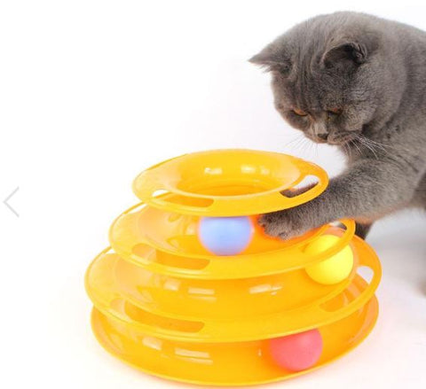 Cat Crazy Ball Play Disc