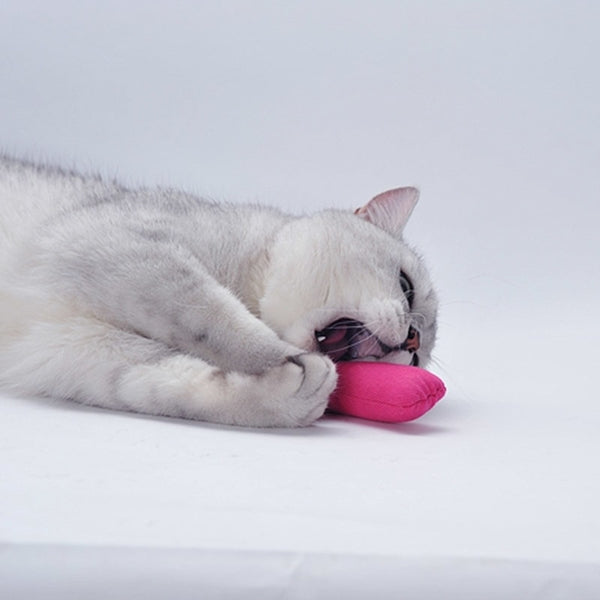 Cute Interactive Teeth Grinding Catnip Toys
