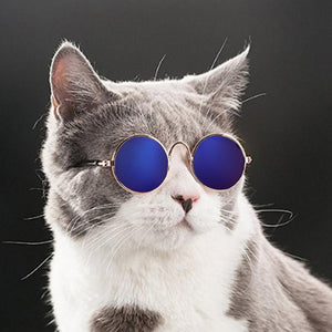Cool Cat Sunglasses